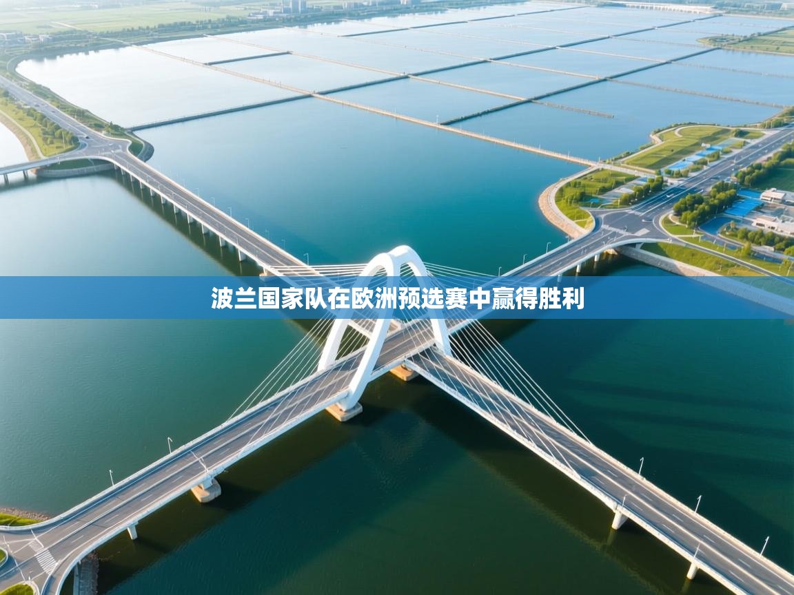 波兰国家队在欧洲预选赛中赢得胜利 第1张