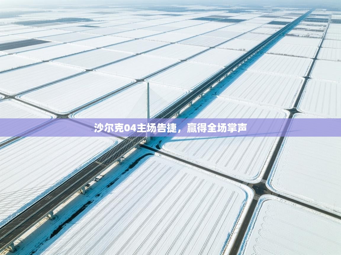 沙尔克04主场告捷，赢得全场掌声