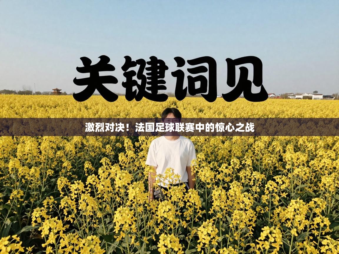 激烈对决!法国足球联赛中的惊心之战 第1张