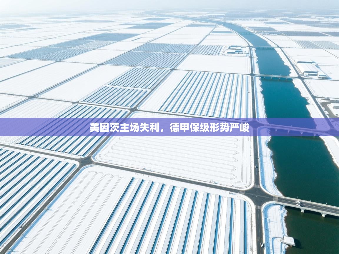 美因茨主场失利，德甲保级形势严峻  第2张