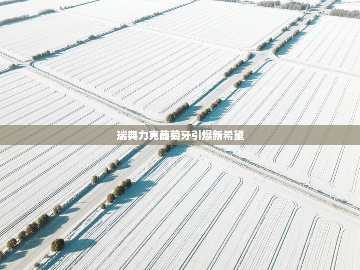 瑞典力克葡萄牙引爆新希望  第1张