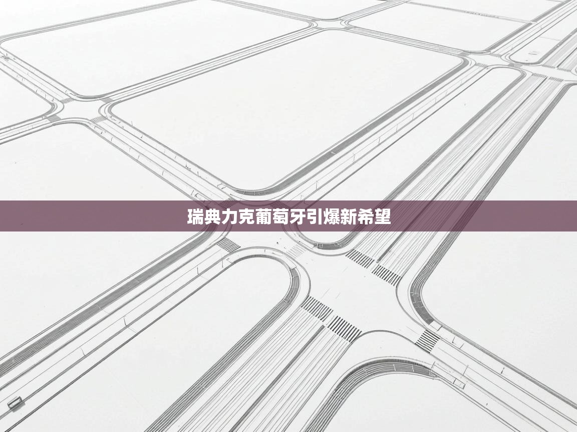 瑞典力克葡萄牙引爆新希望  第2张